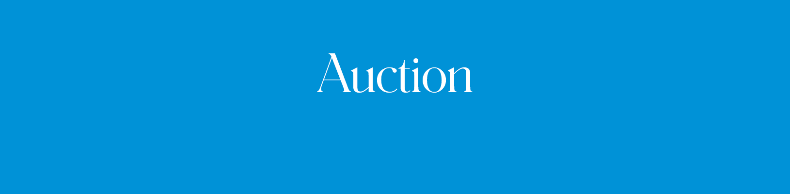 Download Auction Guide